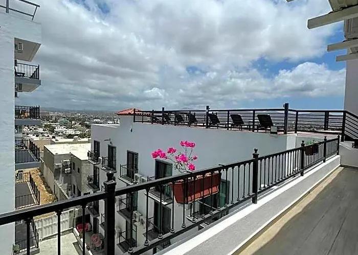 Hotel Morgan Boutique&residences, Cabos Cabo San Lucas